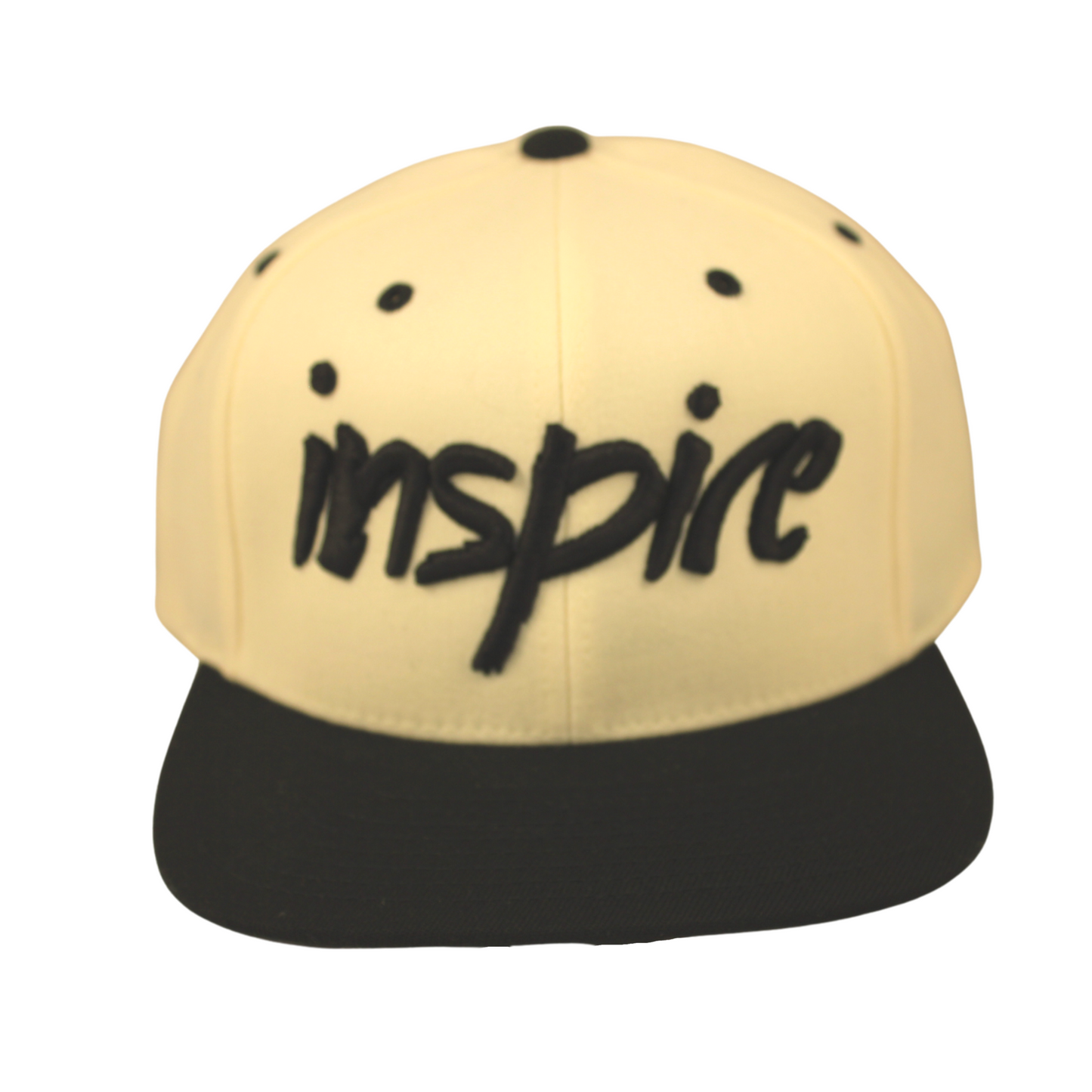 Inspire 110 Snapback Hat