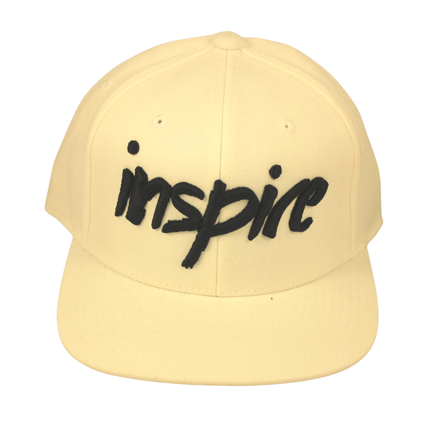 Inspire 110 Snapback Hat