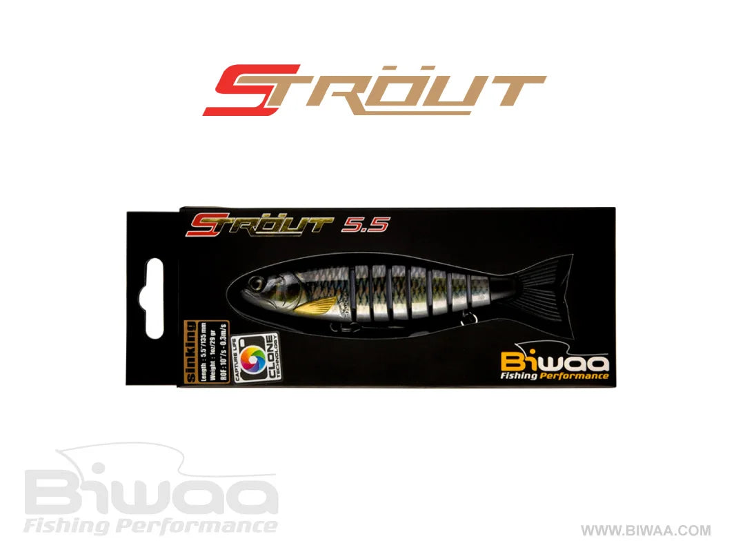 BIWAA 5.5" STrout Swimbait