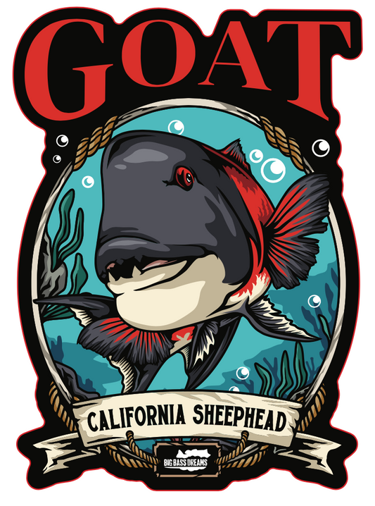 California Sheephead GOAT 3.6" x 5" Decal