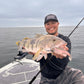 West Coast Baits Roma Trout x BigBassDreams Dark Trout Collaboration