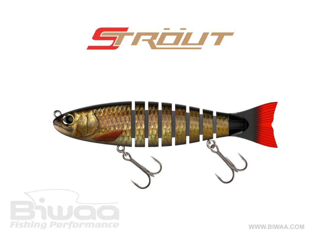 BIWAA 5.5" STrout Swimbait