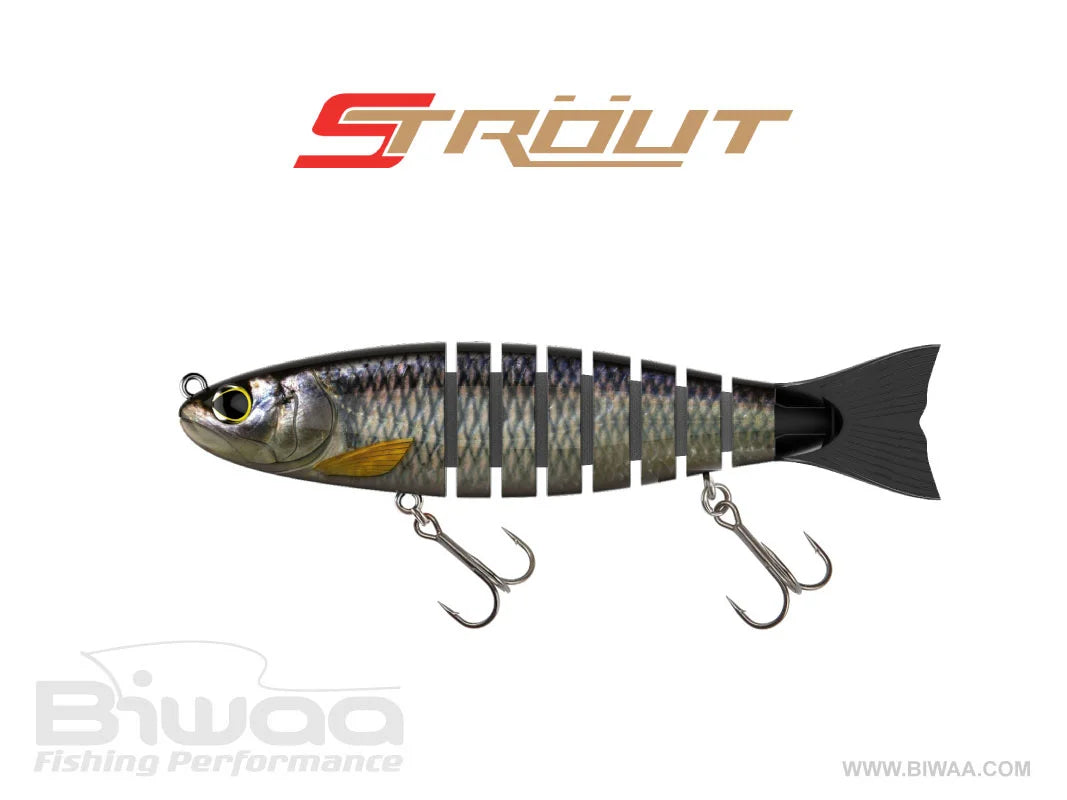 BIWAA 5.5" STrout Swimbait