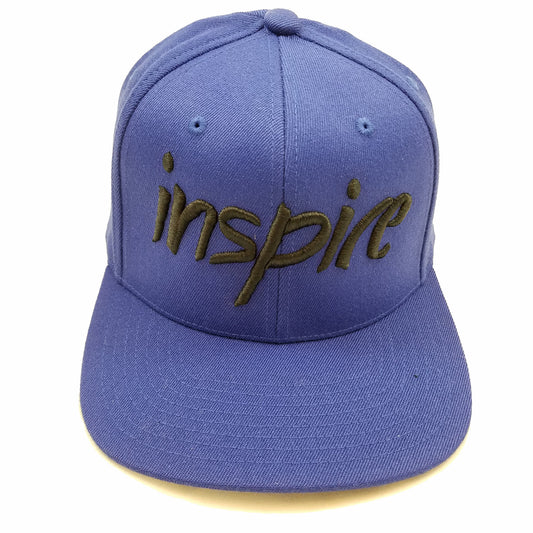 Inspire 110 Snapback Hat