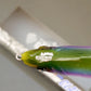 Gan Craft Jointed Claw 148 Glide Bait