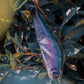 Gan Craft Jointed Claw Magnum 230 Glide Bait