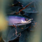 Gan Craft Jointed Claw Magnum 230 Glide Bait
