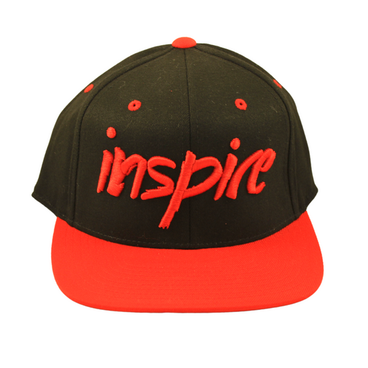 Inspire 110 Snapback Hat