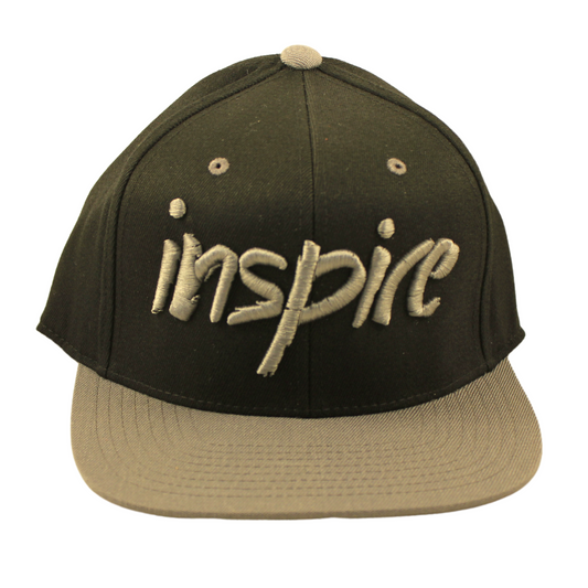 Inspire 110 Snapback Hat